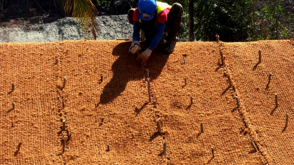 Kegunaan Cocomesh Sabut Kelapa dalam Reklamasi Tambang