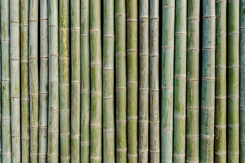 Mengembangkan Peluang Usaha Irat Bambu