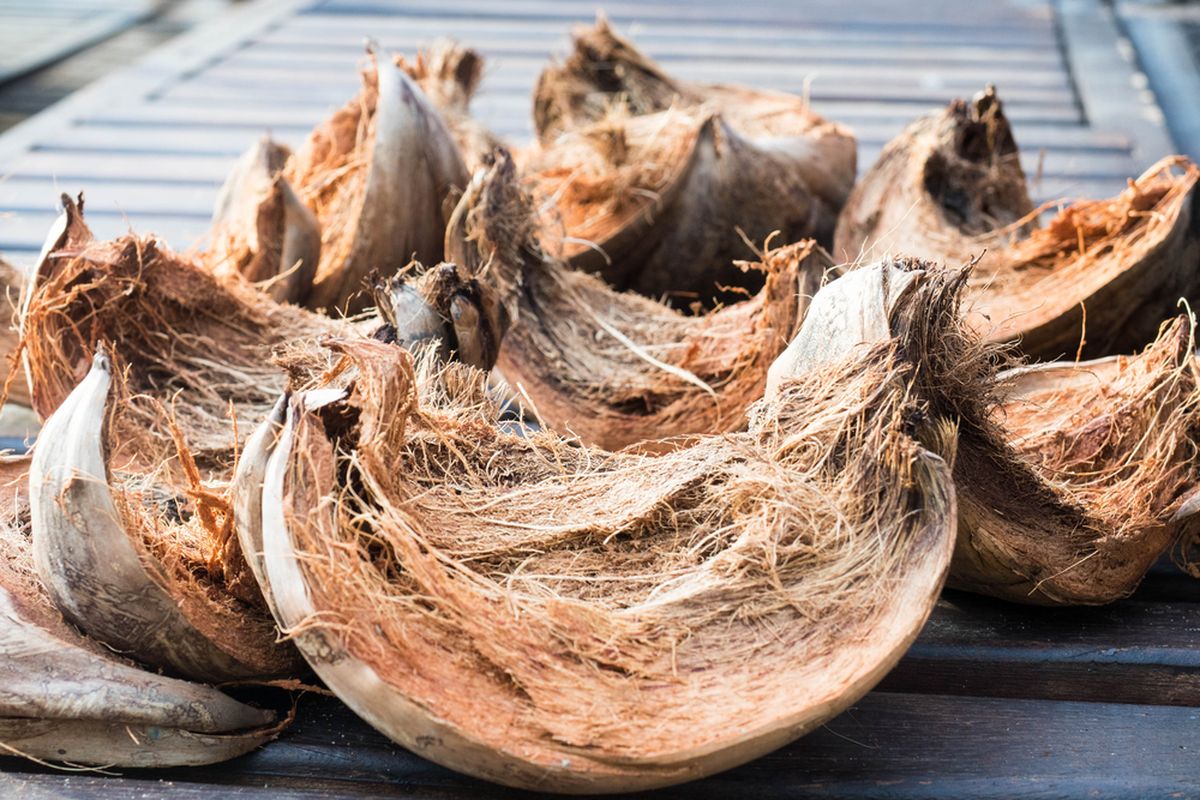 Kegunaan sabut kelapa kering