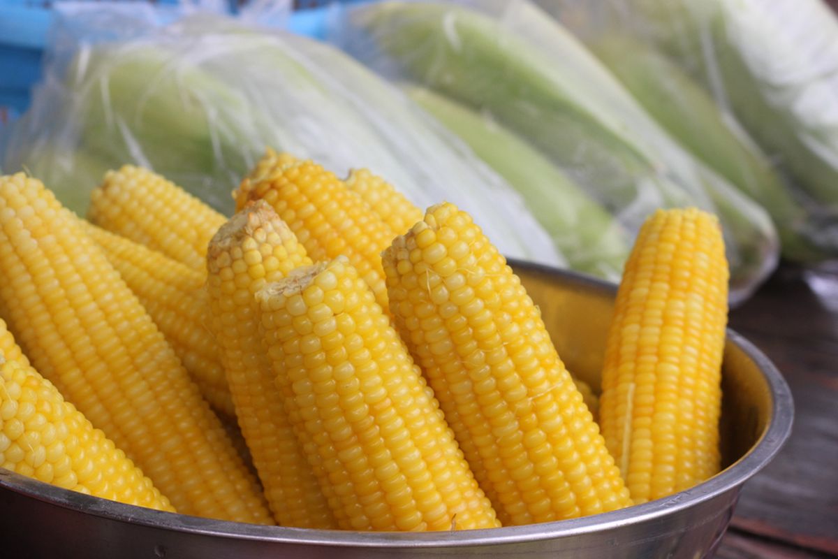 Alat Praktis Olah Jagung