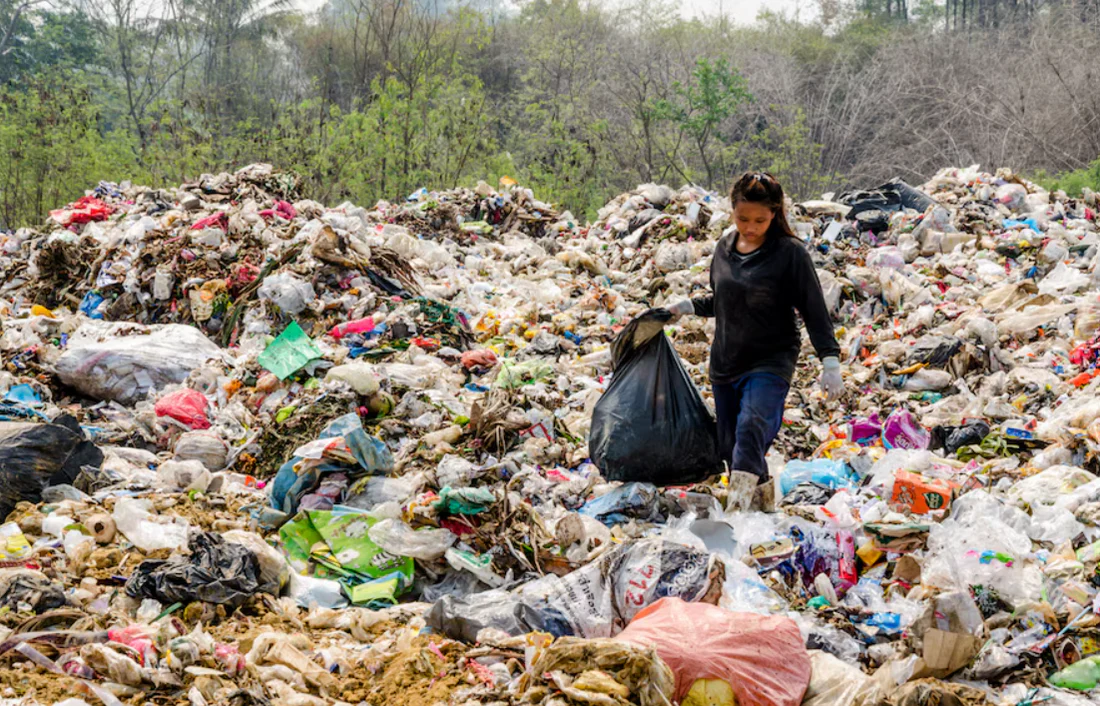 pentingnya duar ulang bagi lingkungan