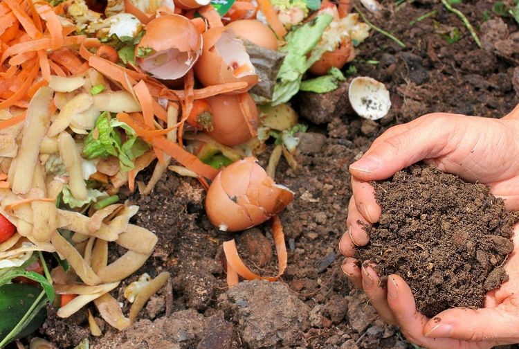 Alat Pengolah Limbah Dapur dan Dedaunan Ramah Lingkungan