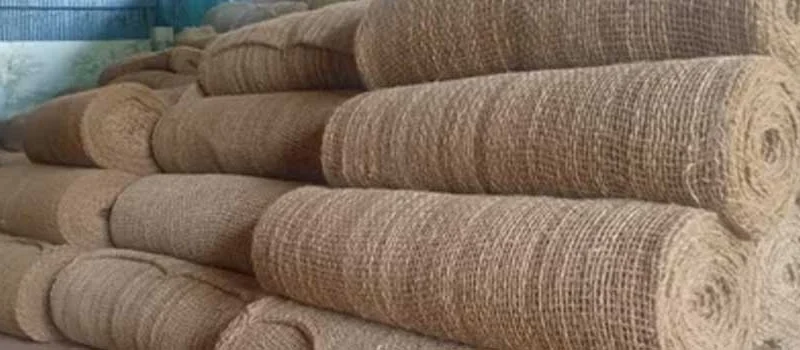 Peningkatan Daya Saing Produk Cocomesh di Pasar Dunia